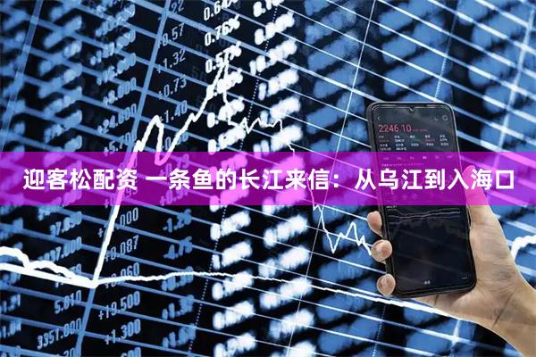 迎客松配资 一条鱼的长江来信：从乌江到入海口
