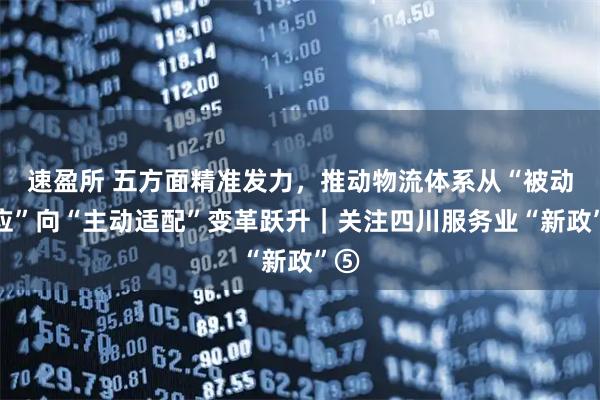速盈所 五方面精准发力，推动物流体系从“被动适应”向“主动适配”变革跃升｜关注四川服务业“新政”⑤