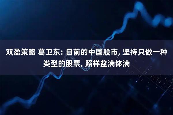 双盈策略 葛卫东: 目前的中国股市, 坚持只做一种类型的股票, 照样盆满钵满