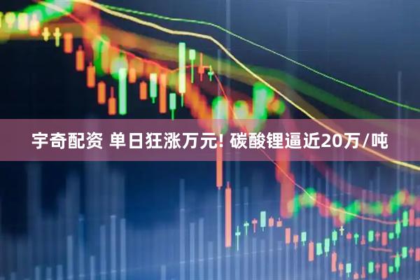 宇奇配资 单日狂涨万元! 碳酸锂逼近20万/吨