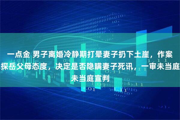 一点金 男子离婚冷静期打晕妻子扔下土崖，作案后试探岳父母态度，决定是否隐瞒妻子死讯，一审未当庭宣判
