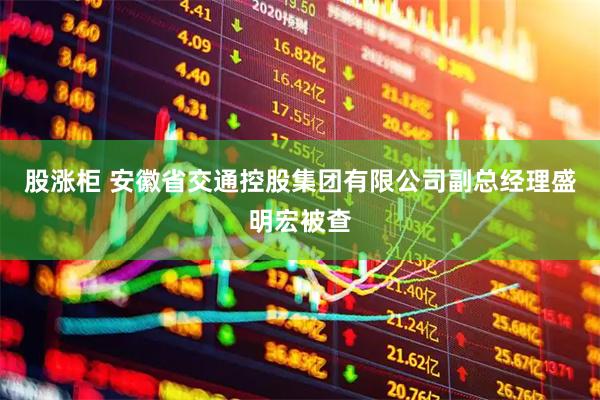 股涨柜 安徽省交通控股集团有限公司副总经理盛明宏被查