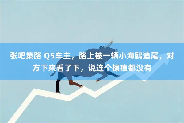 张吧策路 Q5车主，路上被一辆小海鸥追尾，对方下来看了下，说连个擦痕都没有