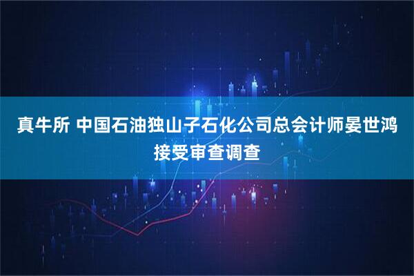 真牛所 中国石油独山子石化公司总会计师晏世鸿接受审查调查